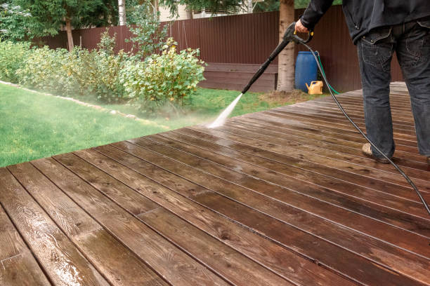 Best Roof Washing  in Pagosa Springs, CO